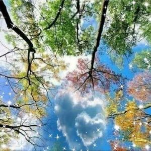 Meet your Posher, Priscilla